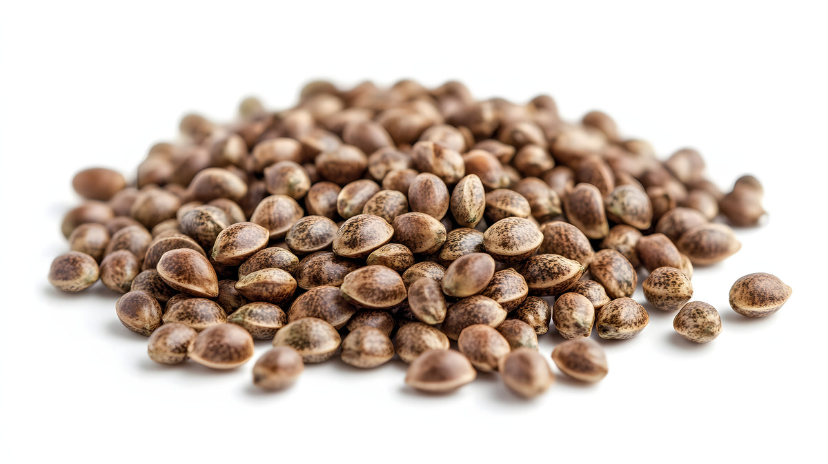 Hemp Seeds
